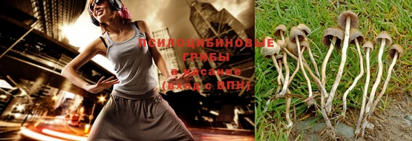 дурь Михайлов