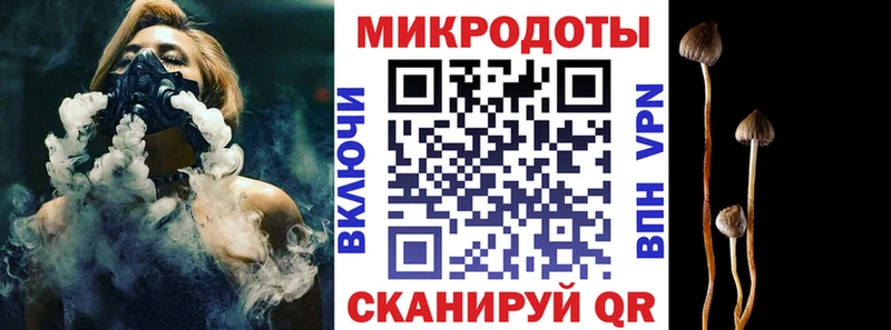 купить  сайты  Сусуман  blacksprut маркетплейс  Галлюциногенные грибы Psilocybe 