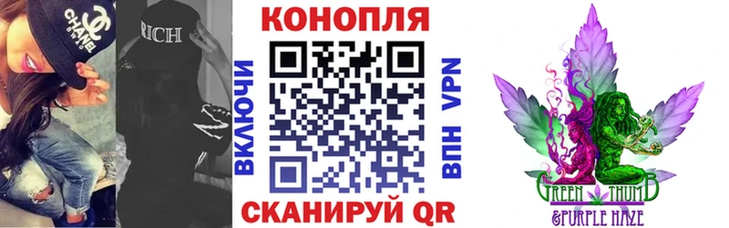 omg рабочий сайт  Сусуман  shop формула  Бошки марихуана сатива 